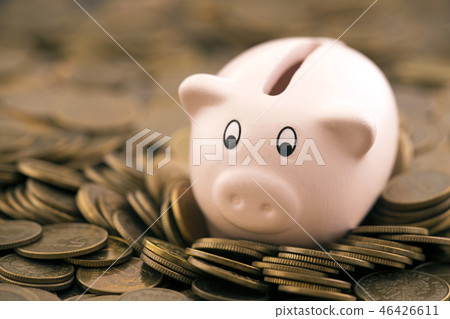 Pink piggy bank on coins  46426611