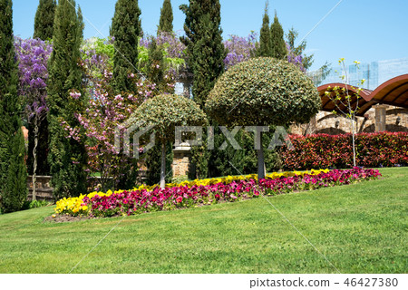 View of an attractive backyard View of an attractive backyard 46427380