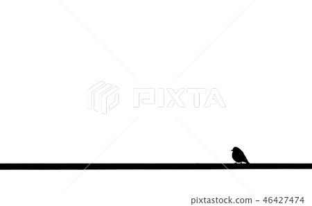Little bird over cable and white background 46427474