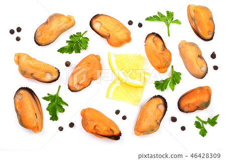 mussels with parsley lemon and peppercorns isolated on white background. Top view. Flat lay mussels with parsley lemon and peppercorns isolated on white background. Top view. Flat lay 46428309