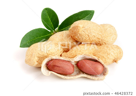 peanuts with leaf isolated on white background 46428372
