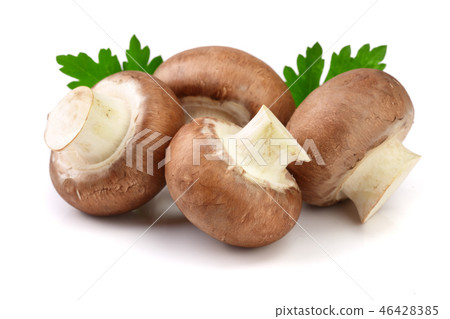 Royal Brown champignon with parsley leaf isolated on white background 46428385