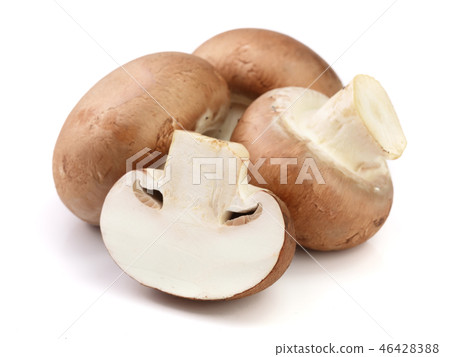 Royal Brown champignon with half isolated on white background 46428388