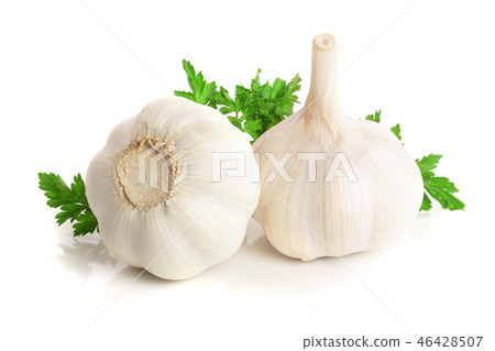 garlic with parsley leaf isolated on white background garlic with parsley leaf isolated on white background 46428507