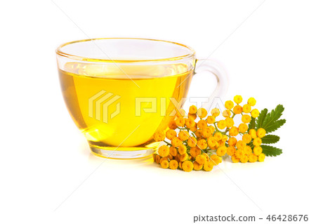 tansy tea with flowers isolated on white background tansy tea with flowers isolated on white background 46428676