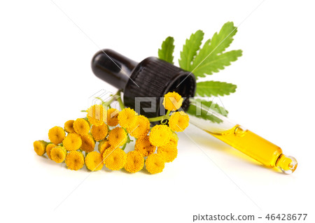 essential tansy oil with flowers and leaf isolated on white background 46428677