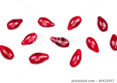 Red berries of cornel or dogwood isolated on white background with copy space for your text. Top Red berries of cornel or dogwood isolated on white background with copy space for your text. Top 46428937