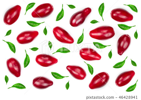Red berries of cornel or dogwood decorated with leaves isolated on white background. Top view. Flat Red berries of cornel or dogwood decorated with leaves isolated on white background. Top view. Flat 46428941