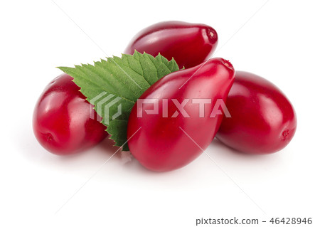 Red berries of cornel or dogwood with leaf isolated on white background Red berries of cornel or dogwood with leaf isolated on white background 46428946