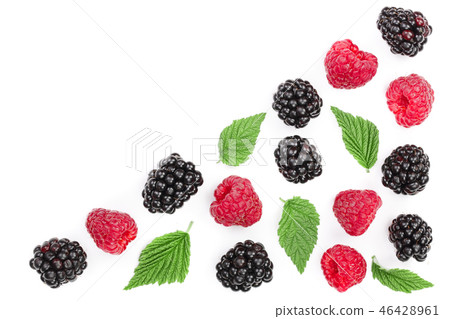 blackberry and raspberry with leaves isolated on white background with copy space for your text. Top blackberry and raspberry with leaves isolated on white background with copy space for your text. Top 46428961
