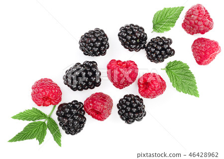 blackberry and raspberry with leaves isolated on white background with copy space for your text. Top blackberry and raspberry with leaves isolated on white background with copy space for your text. Top 46428962