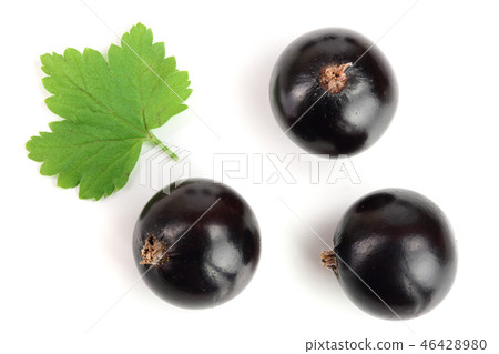 black currant with leaves isolated on white background. Top view. Flat lay pattern 46428980