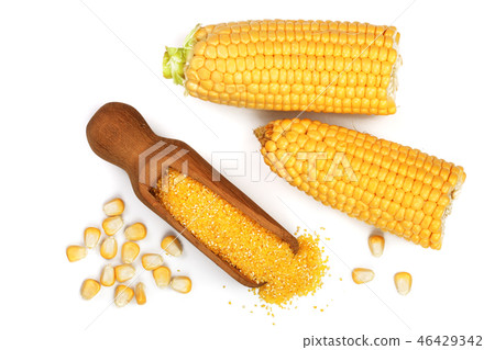 corn groats or cornmeal in wooden scoop and corncob isolated on white background. Top view. Flat lay corn groats or cornmeal in wooden scoop and corncob isolated on white background. Top view. Flat lay 46429342