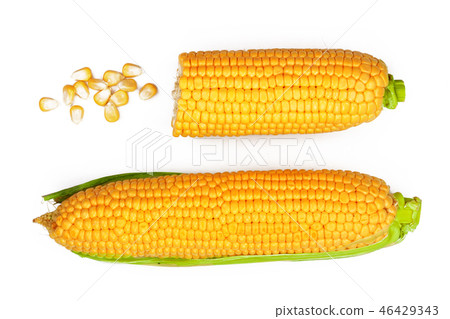 ear of corn isolated on a white background. Top view. Set or collection ear of corn isolated on a white background. Top view. Set or collection 46429343