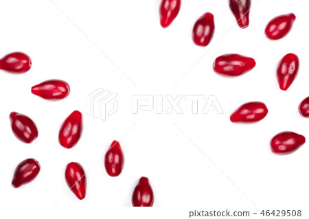 Red berries of cornel or dogwood isolated on white background with copy space for your text. Top Red berries of cornel or dogwood isolated on white background with copy space for your text. Top 46429508