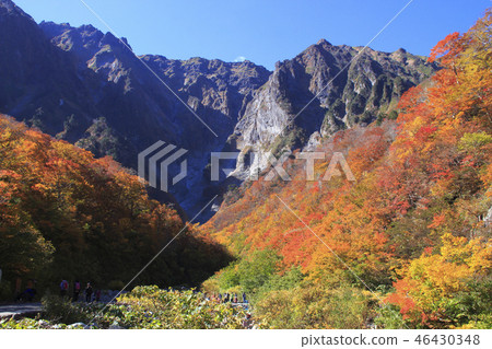 在Tanigawa秋葉(Ichinokurazawa) 在Tanigawa秋葉(Ichinokurazawa) 46430348