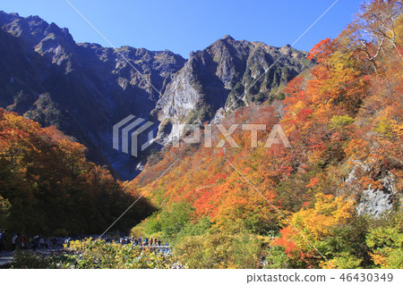 在Tanigawa秋葉（Ichinokurazawa） 46430349