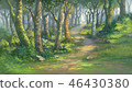 fantasy forest background digital painting 46430380