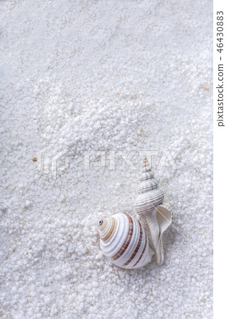 白色沙子，白色鵝，白色背景，夏天感覺，發茬，高梁 46430883