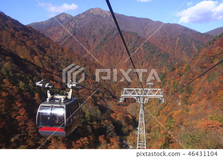 At Tanigawadake Ropeway of autumn leaves At Tanigawadake Ropeway of autumn leaves 46431104
