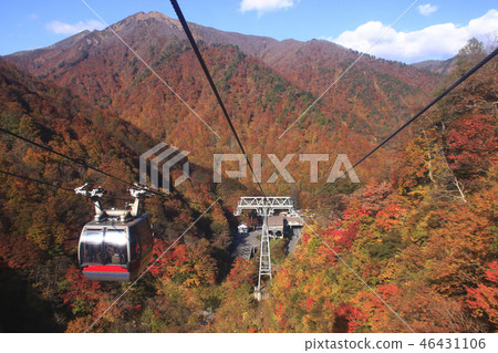 At Tanigawadake Ropeway of autumn leaves At Tanigawadake Ropeway of autumn leaves 46431106