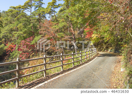 Shosenkyo Goryo Shosenkyo Fall image Autumn leaves Mountains Shosenkyo Goryo Shosenkyo Fall image Autumn leaves Mountains 46431630