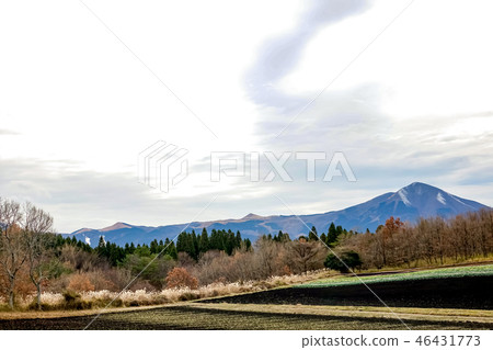 Iida Heights Oishihara Iida Heights Oishihara 46431773