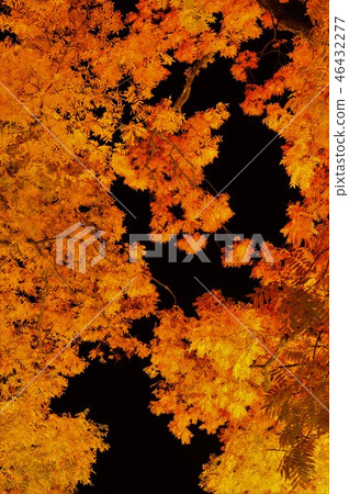 漂浮在噴氣機黑色的秋葉 漂浮在噴氣機黑色的秋葉 46432277