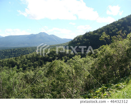 Three Kingdoms 1 46432312