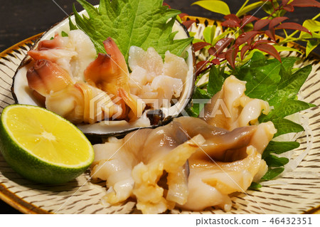 顯眼的貝類 顯眼的貝類 46432351