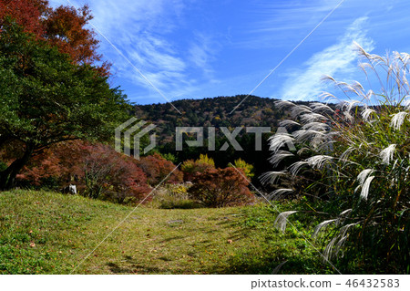Autumn landscape of Unzendake Pond 46432583
