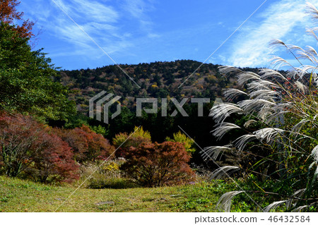 Autumn landscape of Unzendake Pond Autumn landscape of Unzendake Pond 46432584