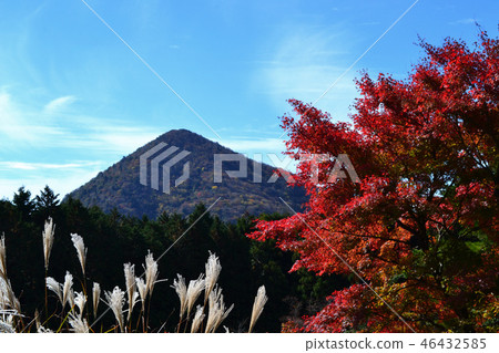 Autumn landscape of Unzendake Pond Autumn landscape of Unzendake Pond 46432585