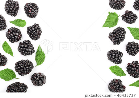 Fresh blackberry with leaves isolated on white background with copy space for your text. Top view Fresh blackberry with leaves isolated on white background with copy space for your text. Top view 46433737