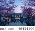 Cherry blossoms with Yasukuni Shrine 46434100