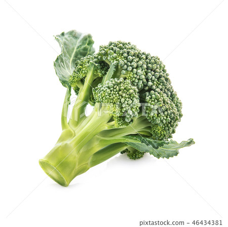 Fresh broccoli isolate on white background Fresh broccoli isolate on white background 46434381