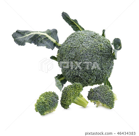 Fresh broccoli isolate on white background Fresh broccoli isolate on white background 46434383