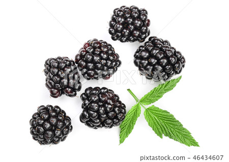 Fresh blackberry with leaves isolated on white background. Top view. Flat lay pattern 46434607
