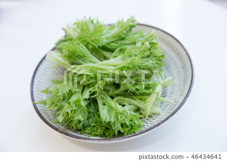 褶邊生菜 46434641
