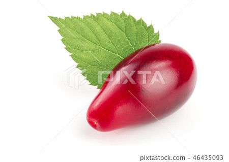 Red berries of cornel or dogwood with leaf isolated on white background Red berries of cornel or dogwood with leaf isolated on white background 46435093