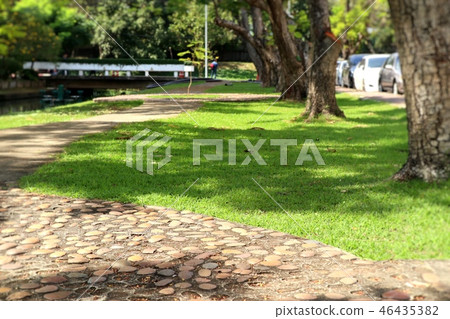Walkway in the park 46435382