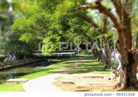 Walkway in the park Walkway in the park 46435399