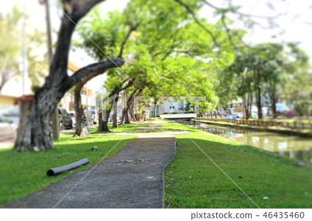 Walkway in the park Walkway in the park 46435460