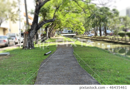 Walkway in the park Walkway in the park 46435461