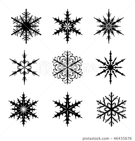 Snowflakes set isolated on white background vector 46435676
