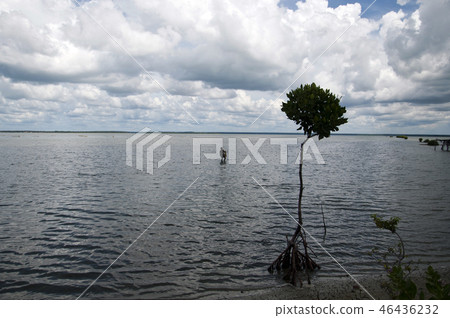 Lagoon puththalama Sri Lanka 46436232