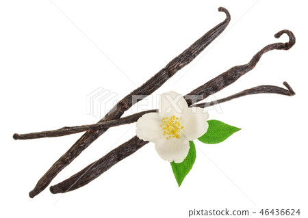 Vanilla sticks with flower and leaf isolated on white background. Top view. Flat lay 46436624
