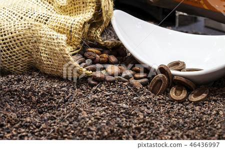 cacao cacao 46436997