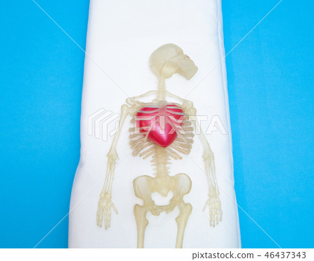 human body skeleton with big red heart 46437343
