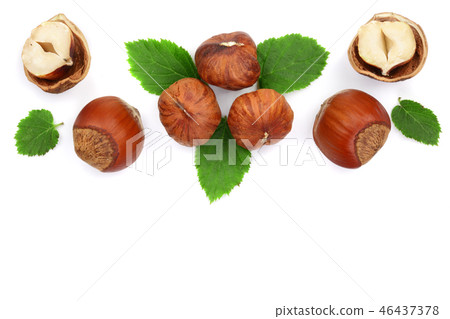 Hazelnuts with leaves with copy space for your text isolated on white background. Top view. Flat lay 46437378